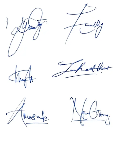 Online Signature Online Signature